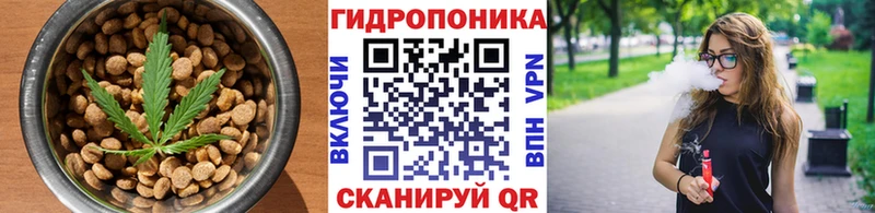 Canna-Cookies конопля  где можно купить наркотик  Надым 