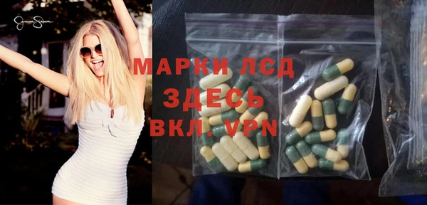 гашик Богородск