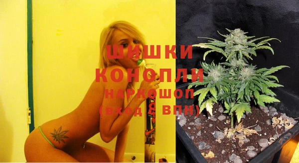 скорость Богданович