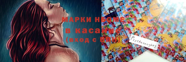 гашик Богородск
