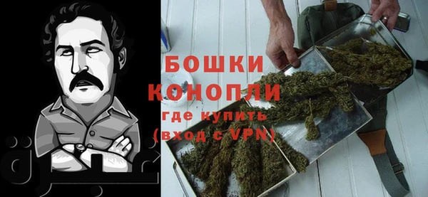 PSILOCYBIN Беломорск