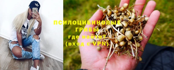 скорость Богданович