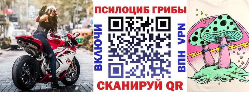 наркошоп Надым Псилоцибиновые грибы Cubensis